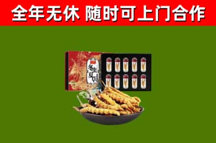 凤山回收冬虫夏草价格